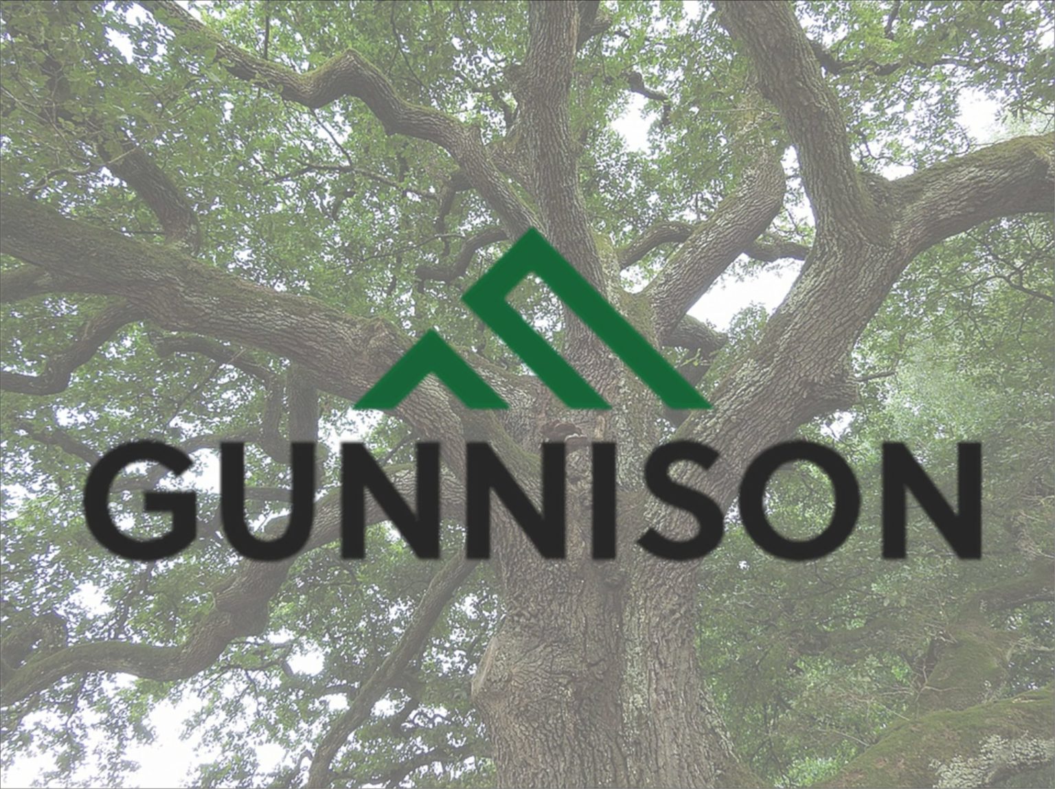 Warren Continues Tree Services Consolidation