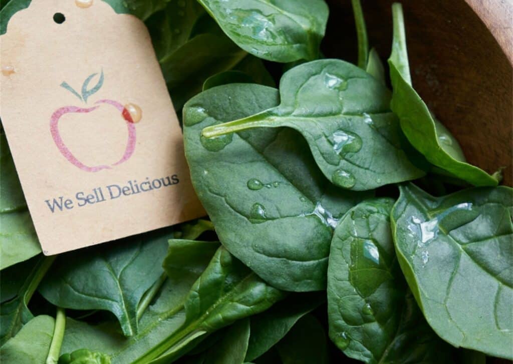 Shoreline Sells Mr. Greens to Sterling Investment Partners